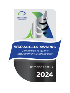 WSO Angels Award Diamond Status 2024